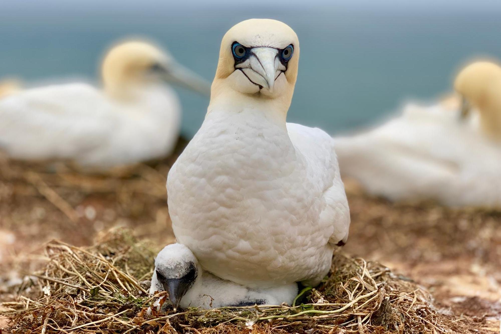 Haus Sabina Lejlighed Heligoland Eksteriør billede